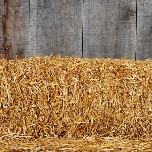 Straw Bales | Dreamscapes Landscape Center